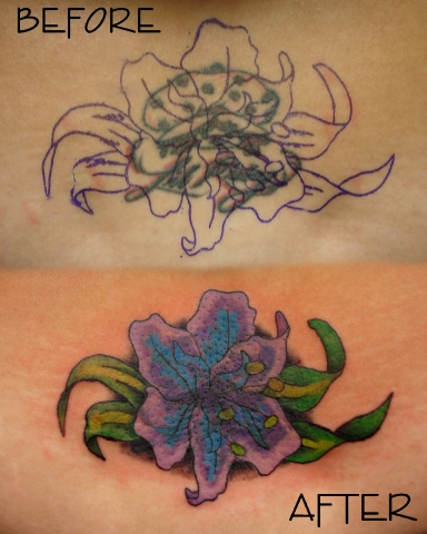 FB4orchid_(1).jpg 12.0K