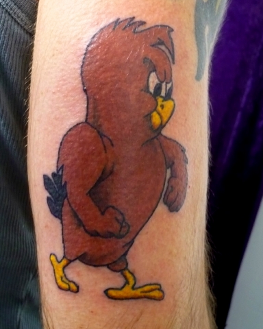 Fchickenhawk_(1).jpg 10.9K