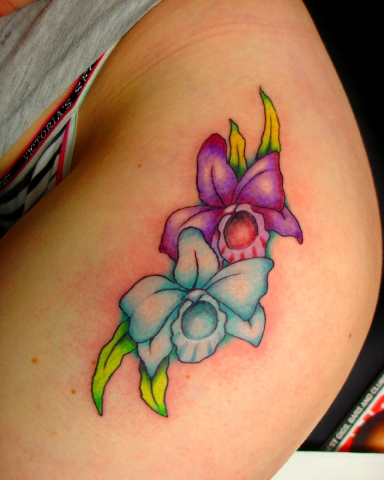 Febarorchids_(1).jpg 11.0K