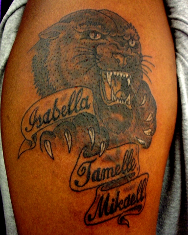 Fpanther_(1).jpg 14.5K